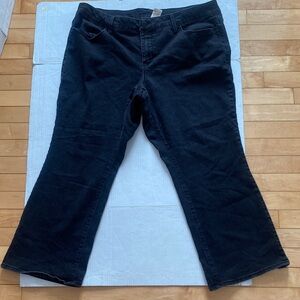 FADED GLORY black cotton, stretch, jeans size 22WP for shorter/petite women